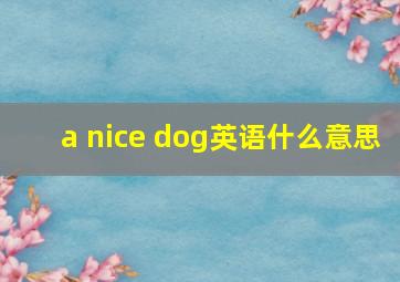 a nice dog英语什么意思